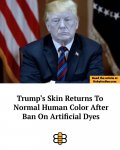 Dyes.jpg