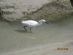 IMG_1340.JPG