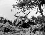 Sherman_Rhino_Normandy_1944.jpeg