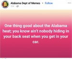 IMG_4486.jpeg