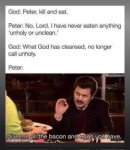 IMG_3915.jpeg