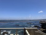 IMG_6159.jpg
