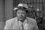 the_andy_griffith_show_the_complete_first_season_200411121024476081754587753.jpg