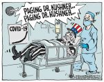 kushner.jpg