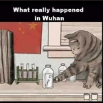 1587300571638.png