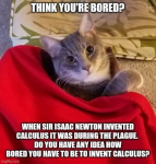 a calculus.png