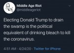 swamp1.jpg