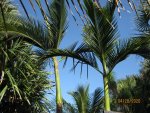 IMG_8115.JPG