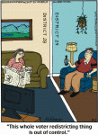 Redistricting.gif