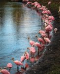IMG_4439.JPEG