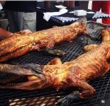 SIX_4D83F5AF-E4C7-4AD7-AC2C-7608922FFC1A.jpeg SIX_4D83F5AF-E4C7-4AD7-AC2C-7608922FFC1A.jpeg