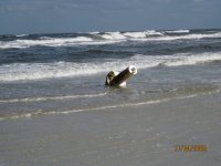 IMG_3492.JPG IMG_3492.JPG