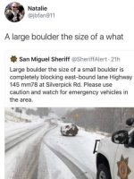 IMG_4967.jpeg