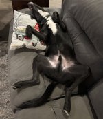 IMG_4962.jpeg