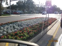 IMG_3819.JPG