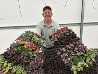 2.5” Pixie Peperomia Assortment Mix.jpg