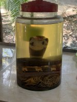 IMG_4912.JPEG