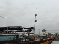 IMG_5055.JPEG