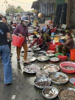 IMG_5077.JPEG