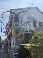 IMG_5217.JPEG