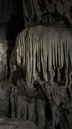 IMG_5514.JPEG
