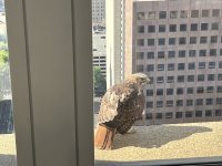 IMG_0933.jpeg IMG_0933.jpeg