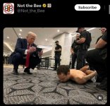 9757d0fd-51d0-4e03-94c9-2e01486f7eb3.jpg