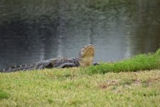 IMG_6691.JPEG