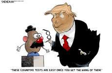 1778112460006.png