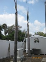 IMG_4875.JPG