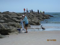 IMG_4954.JPG