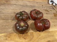IMG_1566.jpeg