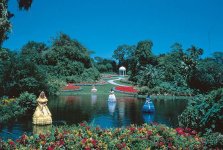 Cypress Gardens.jpg