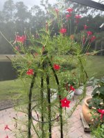 IMG_6804.JPEG