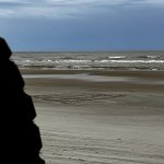 IMG_6512.jpeg