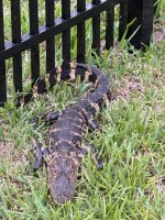 IMG_6842.JPEG