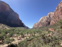 IMG_0245.jpeg IMG_0245.jpeg