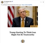 bee_not1782503092.jpg