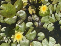 IMG_7226.JPEG