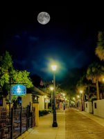 IMG_7344.JPEG