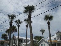 IMG_5518.JPG