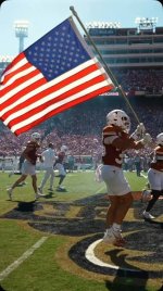 Horns flag.jpeg