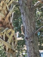 IMG_7431.JPEG