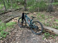 IMG_0448.jpeg
