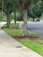 IMG_7460 (1).JPEG