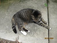 IMG_5677.JPG IMG_5677.JPG