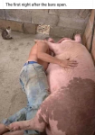 Man and pig, after bars open.png