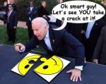 Biden_puzzle1595090505.jpg